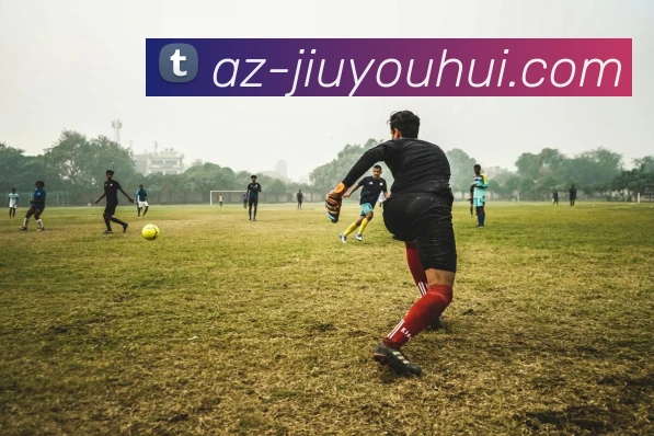 九游会J9官网全站App